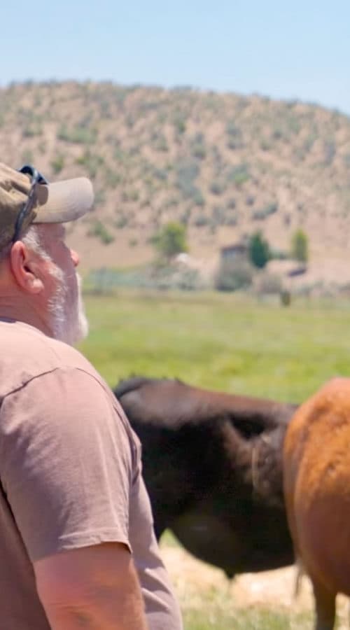 The Good Food Movement regenerative farm