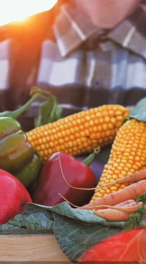 The Good Food Movement regenerative farm