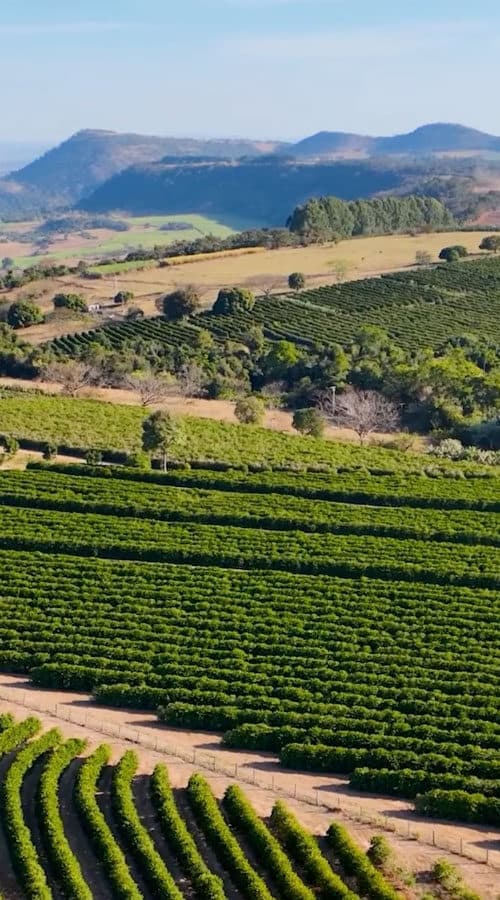 The Good Food Movement regenerative farm